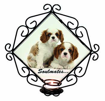 King Charles Pups 