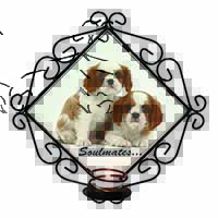 King Charles Pups 