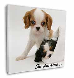 King Charles Spaniel Dogs 