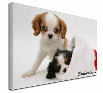 King Charles Spaniel Dogs 