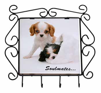 King Charles Spaniel Dogs 