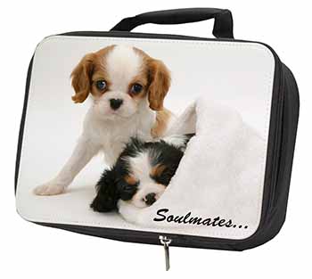 King Charles Spaniel Dogs 