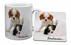 King Charles Spaniel Dogs 