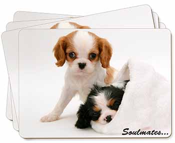 King Charles Spaniel Dogs 