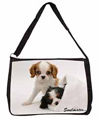 King Charles Spaniel Dogs 