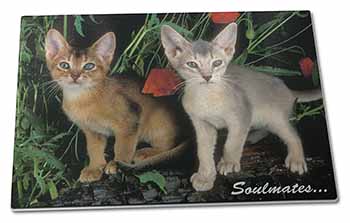 Large Glass Cutting Chopping Board Abyssinian Kittens 
