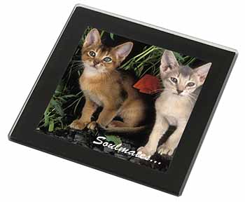 Abyssinian Kittens 