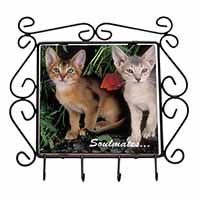 Abyssinian Kittens 