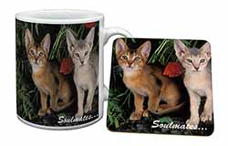 Abyssinian Kittens 