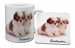 Shih-Tzu Dogs 