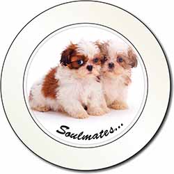 Shih-Tzu Dogs 