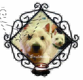 Westies 