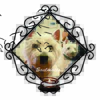 Westies 
