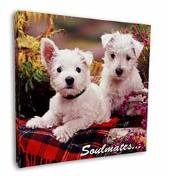 West Highland Terrier Dogs 