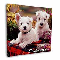 West Highland Terrier Dogs 