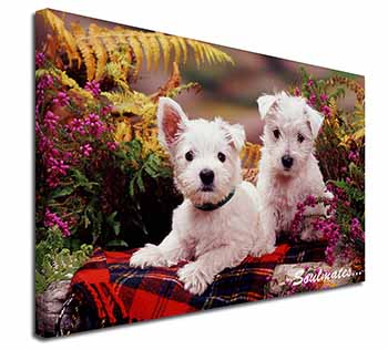 West Highland Terrier Dogs 