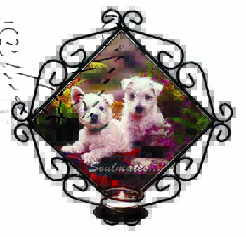 West Highland Terrier Dogs 