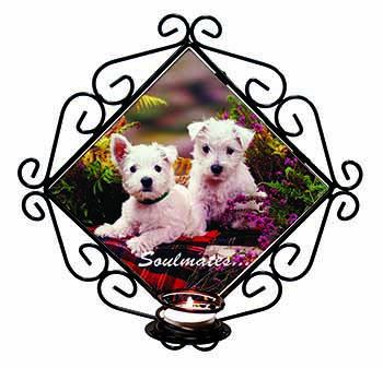 West Highland Terrier Dogs 