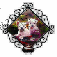 West Highland Terrier Dogs 