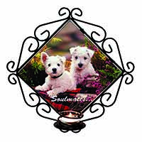 West Highland Terrier Dogs 