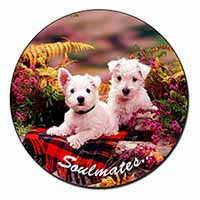 West Highland Terrier Dogs 