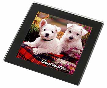West Highland Terrier Dogs 