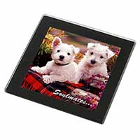 West Highland Terrier Dogs 