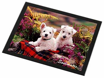 West Highland Terrier Dogs 