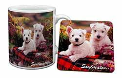 West Highland Terrier Dogs 