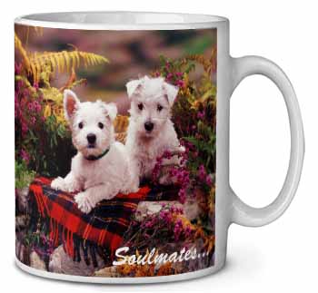 West Highland Terrier Dogs 