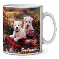 West Highland Terrier Dogs 