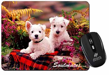 West Highland Terrier Dogs 