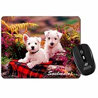 West Highland Terrier Dogs 