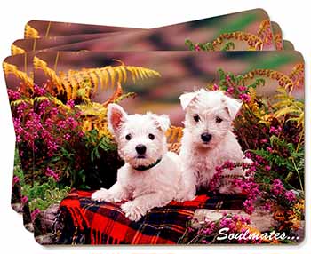 West Highland Terrier Dogs 