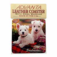 West Highland Terrier Dogs 