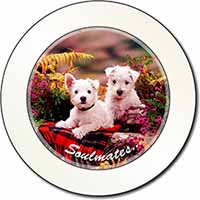 West Highland Terrier Dogs 