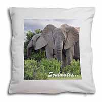 Elephants 