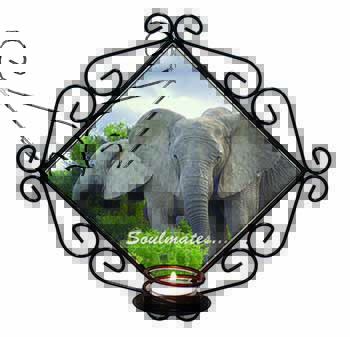 Elephants 