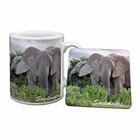 Elephants 