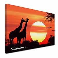 Sunset Giraffes 