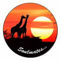 Sunset Giraffes 