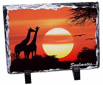 Sunset Giraffes 