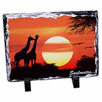 Sunset Giraffes 