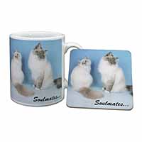 Birman Cats 