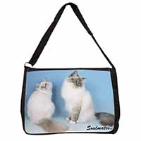 Birman Cats 