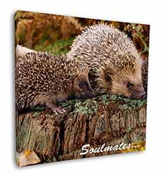 Hedgehogs 