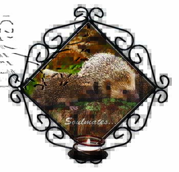 Hedgehogs 