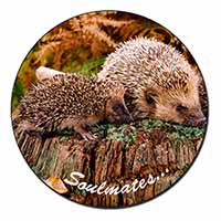 Hedgehogs 