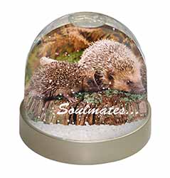 Hedgehogs 