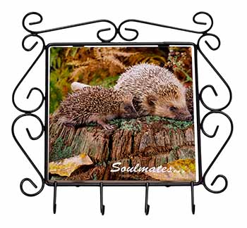 Hedgehogs 